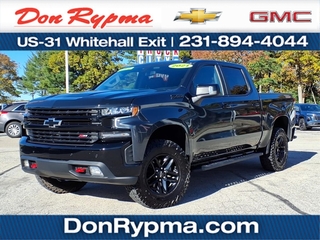 2021 Chevrolet Silverado 1500 for sale in Whitehall MI