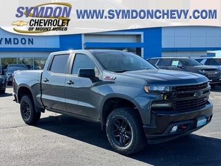 2019 Chevrolet Silverado 1500 for sale in Mount Horeb WI