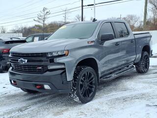 2019 Chevrolet Silverado 1500 for sale in Taylor MI