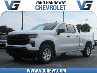 2024 Chevrolet Silverado 1500 for sale in Eustis FL