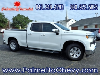 2023 Chevrolet Silverado 1500 for sale in Winchester VA