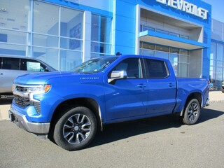 2025 Chevrolet Silverado 1500 for sale in Newton NJ