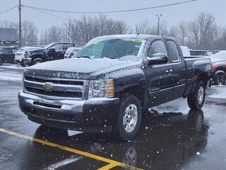 2010 Chevrolet Silverado 1500 for sale in Woodhaven MI