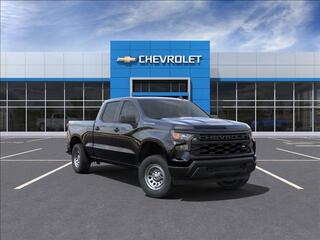 2024 Chevrolet Silverado 1500 for sale in Arcade NY