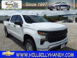 2024 Chevrolet Silverado 1500 for sale in Mountain View AR