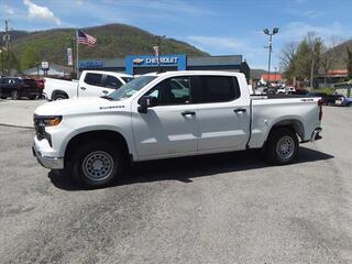 2024 Chevrolet Silverado 1500 for sale in Big Stone Gap VA