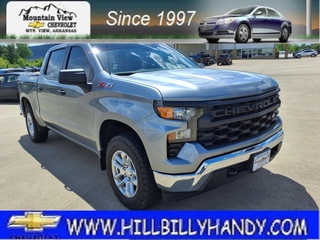 2024 Chevrolet Silverado 1500 for sale in Mountain View AR