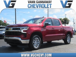 2024 Chevrolet Silverado 1500 for sale in Eustis FL