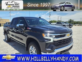 2024 Chevrolet Silverado 1500 for sale in Mountain View AR