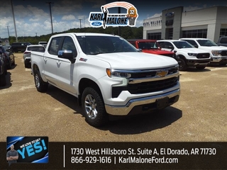 2022 Chevrolet Silverado 1500 for sale in Muskegon MI