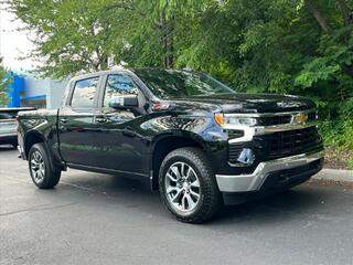 2024 Chevrolet Silverado 1500 for sale in Waynesville NC