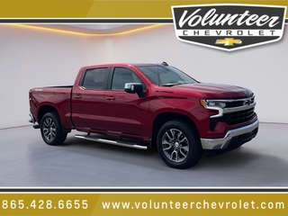 2023 Chevrolet Silverado 1500 for sale in Sevierville TN