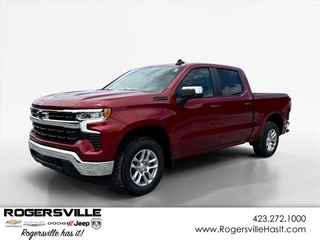 2024 Chevrolet Silverado 1500 for sale in Rogersville TN