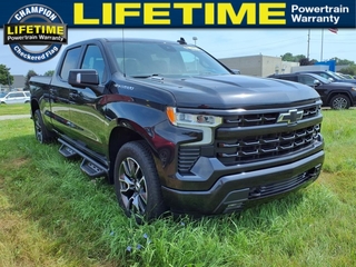 2023 Chevrolet Silverado 1500 for sale in Fowlerville MI