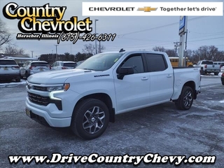 2023 Chevrolet Silverado 1500 for sale in Herscher IL