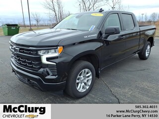 2023 Chevrolet Silverado 1500 for sale in Perry NY