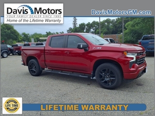 2024 Chevrolet Silverado 1500 for sale in Litchfield MN