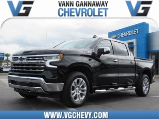 2023 Chevrolet Silverado 1500 for sale in Eustis FL