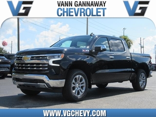 2024 Chevrolet Silverado 1500 for sale in Eustis FL