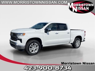 2023 Chevrolet Silverado 1500 for sale in Morristown TN