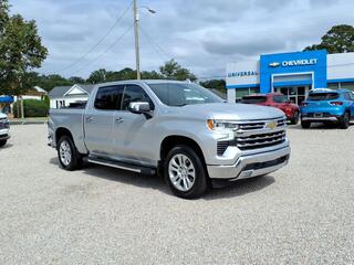 2022 Chevrolet Silverado 1500 for sale in Wendell NC