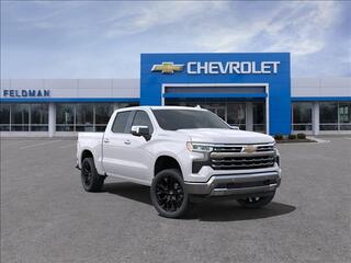 2024 Chevrolet Silverado 1500 for sale in Novi MI