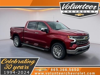 2024 Chevrolet Silverado 1500 for sale in Sevierville TN