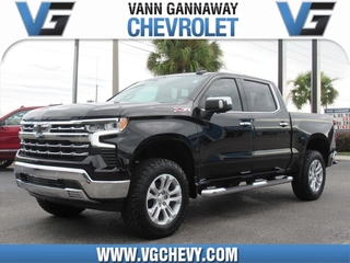 2022 Chevrolet Silverado 1500 for sale in Eustis FL