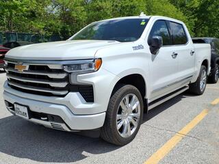 2024 Chevrolet Silverado 1500 for sale in Fenton MO