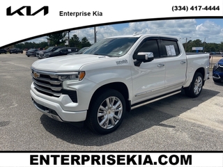 2024 Chevrolet Silverado 1500 for sale in Enterprise AL