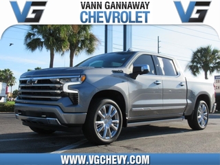 2023 Chevrolet Silverado 1500 for sale in Eustis FL