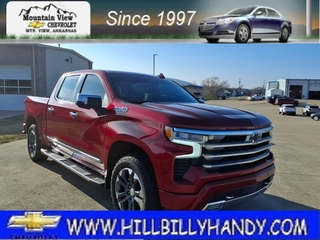 2024 Chevrolet Silverado 1500 for sale in Mountain View AR