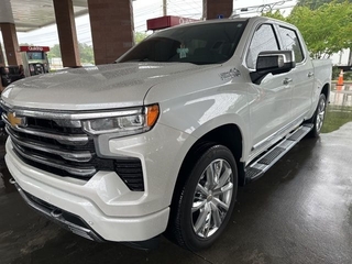 2023 Chevrolet Silverado 1500 for sale in Greenville SC