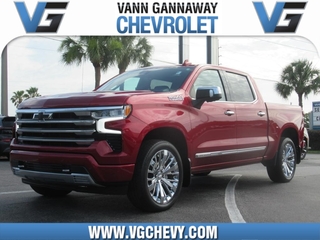 2023 Chevrolet Silverado 1500 for sale in Eustis FL