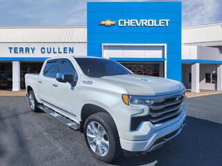 2023 Chevrolet Silverado 1500 for sale in Jonesboro GA