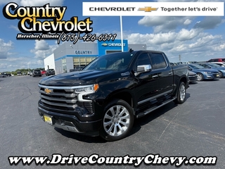 2024 Chevrolet Silverado 1500 for sale in Herscher IL
