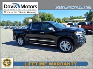 2024 Chevrolet Silverado 1500 for sale in Litchfield MN