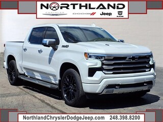 2024 Chevrolet Silverado 1500 for sale in Oak Park MI