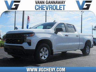 2025 Chevrolet Silverado 1500 for sale in Eustis FL