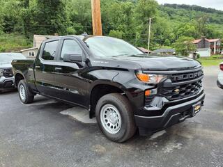2025 Chevrolet Silverado 1500 for sale in Cabin Creek WV