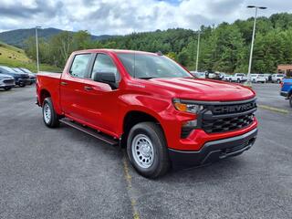 2026 Chevrolet Silverado 1500 for sale in Tazewell VA