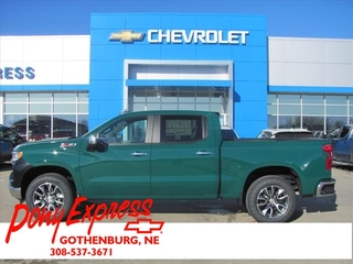 2025 Chevrolet Silverado 1500 for sale in Gothenburg NE