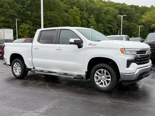 2025 Chevrolet Silverado 1500 for sale in Princeton WV