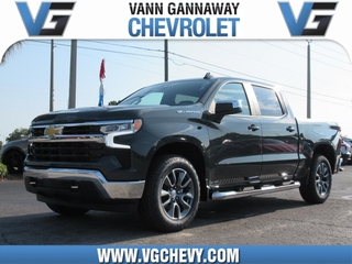 2025 Chevrolet Silverado 1500 for sale in Eustis FL