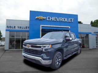 2025 Chevrolet Silverado 1500 for sale in Newton Falls OH