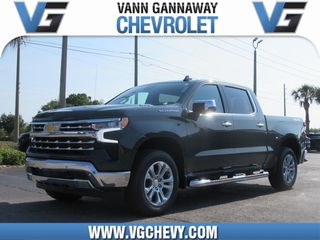 2025 Chevrolet Silverado 1500 for sale in Eustis FL
