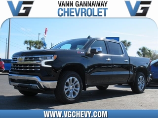 2025 Chevrolet Silverado 1500 for sale in Eustis FL