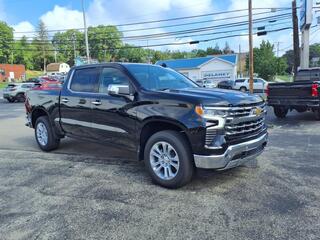 2025 Chevrolet Silverado 1500 for sale in Paola KS