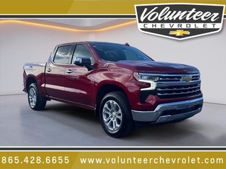 2025 Chevrolet Silverado 1500 for sale in Sevierville TN