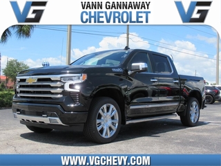 2025 Chevrolet Silverado 1500 for sale in Eustis FL
